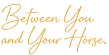 Between You and Your Horse.